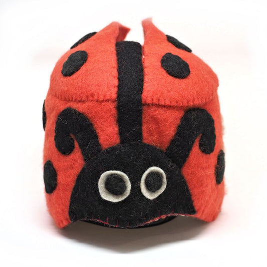 Ladybug hat