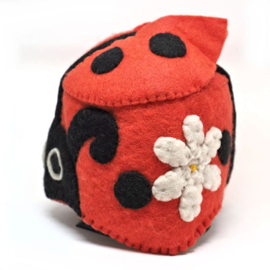 Ladybug hat