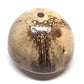 Coconut piano