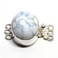 Arctic tundra clasp