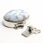 Arctic tundra clasp
