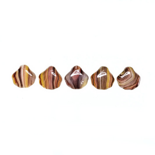 Random funky striped shell beads